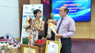 ជុំចុងក្រោយនៃការប្រកួតប្រជែងច្នៃប្រឌិត និងការចាប់ផ្តើម Dong Nai 2025