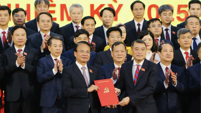Mr. Dang Xuan Phong was appointed as Secretary of Ninh Binh.