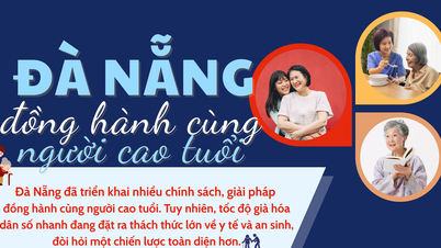 Da Nang accompagne les personnes âgées