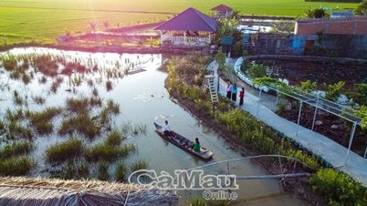 សេចក្តីប្រាថ្នាដើម្បីទៅដល់ឆ្ងាយពីទេសចរណ៍បៃតង និងអេកូឡូស៊ី