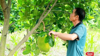 Đổi thay từ những mô hình kinh tế hiệu quả