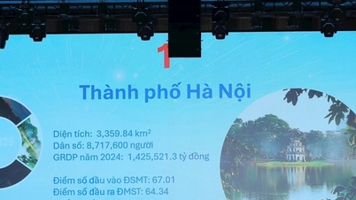 Hanoi continúa liderando el país en innovación.