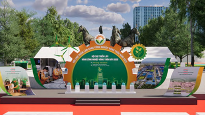 250 booths participate in the 2025 rural industrial products exhibition fair