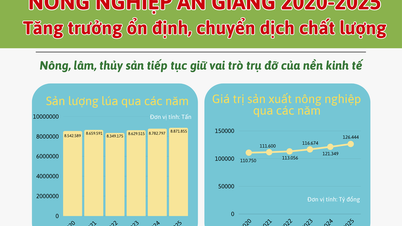[อินโฟกราฟิก] การเกษตร An Giang 2020-2025: การเติบโตที่มั่นคง การเปลี่ยนแปลงคุณภาพ