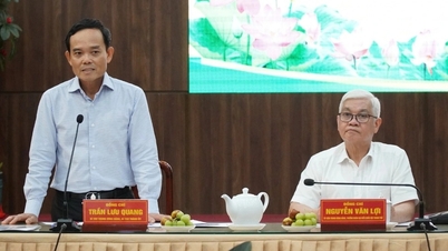 លេខា Tran Luu Quang៖ ទីក្រុងហូជីមិញត្រូវផ្តល់អាទិភាពដល់ការកសាងសាលារៀននៅ Di An