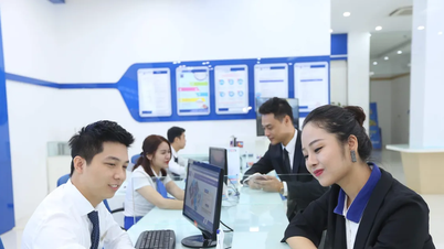 ការរៀបចំរចនាសម្ព័ន្ធឡើងវិញយ៉ាងទូលំទូលាយ ដែលជាការផ្លាស់ប្តូរយុទ្ធសាស្ត្រជាមួយនឹងតួនាទីនាំមុខរបស់ VNPT