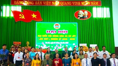 Cu Jut Commune continues to promote clean industry, green environment, and build a strong Association organization.