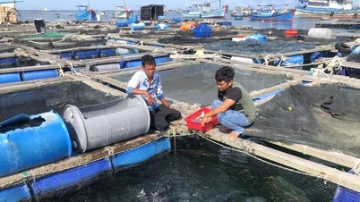 Lâm Đồng cùng cả nước quyết tâm gỡ “thẻ vàng” của EC