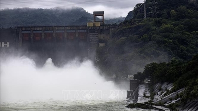嵐10号の影響：電力の緊急復旧と水力発電用貯水池の安全確保