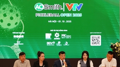 Nearly 700 athletes participate in VTV AOSmith Pickleball Open 2025