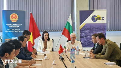 Vietnam-Bulgaria agree to expand cooperation in new fields