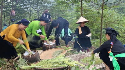Nghia Do temporarily postpones Com Festival to focus on overcoming natural disaster consequences