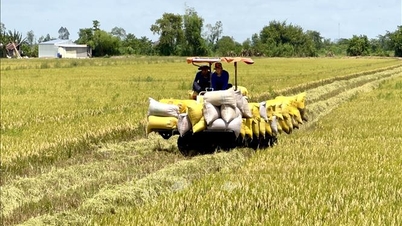 ពីជង្រុកស្រូវរបស់ប្រទេស An Giang កំពុងឆ្ពោះទៅរកមជ្ឈមណ្ឌលកសិកម្មទំនើប។
