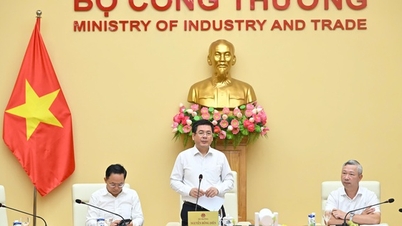 Towards a competitive electricity market, ensuring energy security