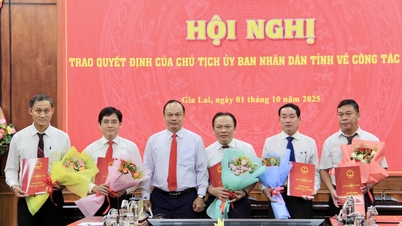 គណៈកម្មាធិការប្រជាជនខេត្ត បានប្រកាស និងប្រគល់សេចក្តីសម្រេចរបស់ប្រធានគណៈកម្មាធិការប្រជាជនខេត្ត ស្តីពីការងារបុគ្គលិក។