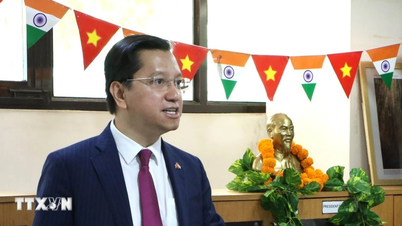 80th Anniversary of Independence Day: India always stands with Vietnam