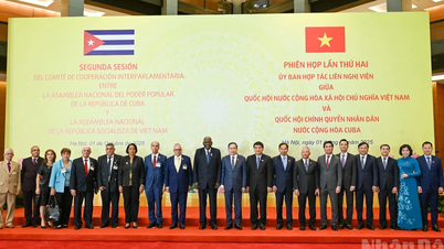 【写真】ベトナム国会とキューバ国会間の議会間協力委員会第2回会合