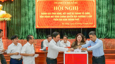 ទីក្រុង Da Nang បរិច្ចាគថវិកាចំនួន ៦ពាន់លានដុង ដើម្បីជួយឧបត្ថម្ភប្រជាជននៅតំបន់ភាគកណ្តាលខាងជើង ដែលរងគ្រោះដោយព្យុះលេខ ១០