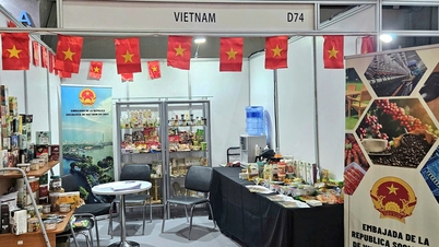 ឱកាស​សម្រាប់​ទំនិញ​វៀតណាម​ចូល​ជ្រៅ​ក្នុង​ទីផ្សារ​ស៊ីលី