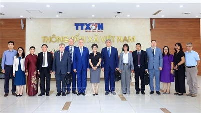 Delegation of the St. Petersburg Government's Foreign Affairs Committee visited Vietnam News Agency