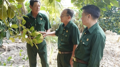 An Giang veterans - the people's trust