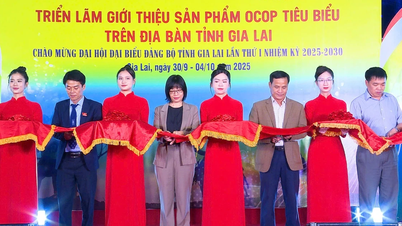 Triển lãm OCOP chào mừng Đại hội đại biểu Đảng bộ tỉnh Gia Lai lần thứ I