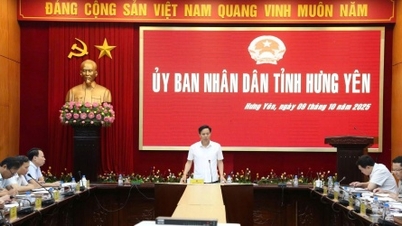 Hung Yen: Predarea terenului pentru autostrada expresă Ninh Binh - Hai Phong în noiembrie 2025