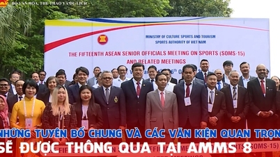 פגישת השרים השמינית של ASEAN בנושא ספורט: הצהרות משותפות ומסמכים חשובים שיאומצו