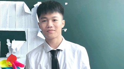Xử lý ra sao với thí sinh 29 điểm đỗ NV1 nhưng trượt đại học vì lý do không ngờ