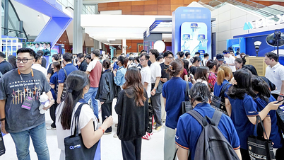 Mập mờ tiền ảo, 'lùa gà' nhà đầu tư
