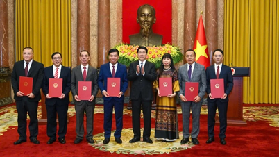 Președintele Luong Cuong a prezentat decizia de conferire a titlurilor și numire a ambasadorilor vietnamezi.