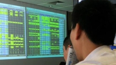 녹색 색상 확산, VN-Index는 15포인트 이상의 정점을 계속 달성