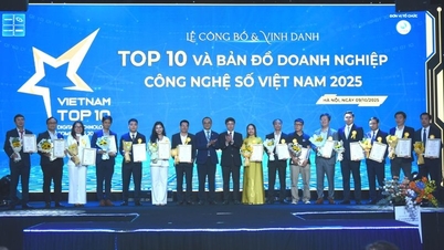 Vietnamese bedrijven beschikken over meer hulpmiddelen om bedrijven in de digitale technologiesector te lokaliseren en te verbinden.