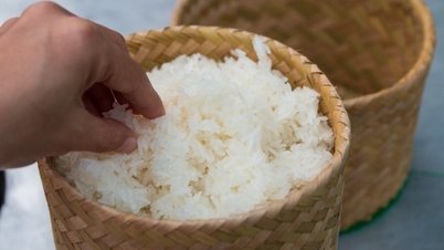 Thailändischer Reis: Vom landwirtschaftlichen Rohprodukt zum nationalen Markenprodukt und zur Position als Reisexporteur