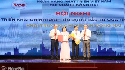 Gründung der Vietnam Development Bank, Zweigstelle Dong Nai
