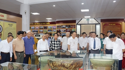 សារមន្ទីរខេត្ត Ninh Binh ក្នុងលំហឌីជីថល