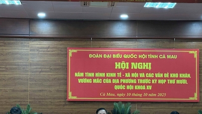 Ca Mau៖ គណៈប្រតិភូរដ្ឋសភាខេត្តយល់ឃើញអំពីស្ថានភាពសេដ្ឋកិច្ចសង្គមមុនសម័យប្រជុំរដ្ឋសភាលើកទី១០ នីតិកាលទី១៥។