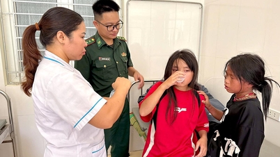 Kịp thời cấp cứu 10 học sinh tiểu học bị ong vò vẽ rừng đốt