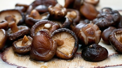 Qual é a melhor comida no outono?