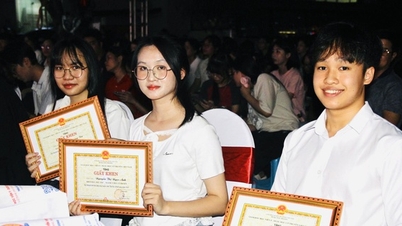 Die Generation Z hat eine Leidenschaft für Pflanzen und möchte die Werte der vietnamesischen orientalischen Medizin verbreiten.