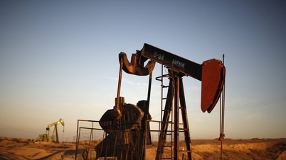 Цена на бензин сегодня, 11 октября 2025 г.: цена на сырую нефть резко упала, достигнув многомесячного минимума.