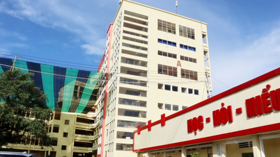 Giả mạo thông báo của trường đại học ở TPHCM để tuyển du học sinh