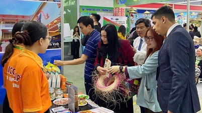 Vinh Long will zum E-Commerce-Zentrum der Region werden