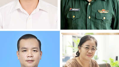 Building a mental care system for the elderly