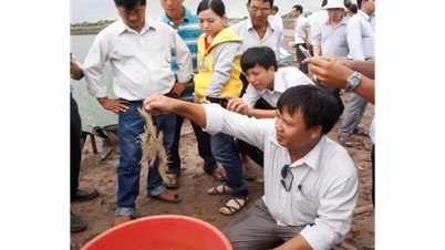 Workshop on good aquaculture practices VietGAP
