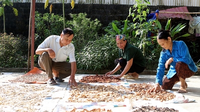 Story in Thuoc Ha village