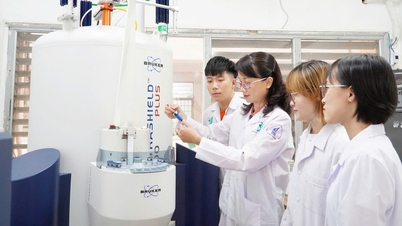 Ho Chi Minh City promotes the construction of Vietnam's International Innovation Center