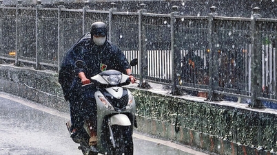 10月11日の今日の天気:北部は午前中は霧、日中は晴れ、南部は午後は雨