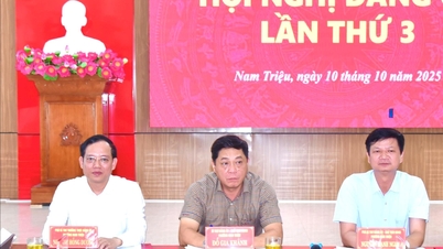 Nam Trieu accélère le déblaiement du site, créant une percée dans la construction de nouvelles zones rurales modèles