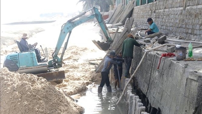 Bảo vệ dải lụa bờ biển miền Trung - Bài 2: Cuộc chiến chưa hồi kết